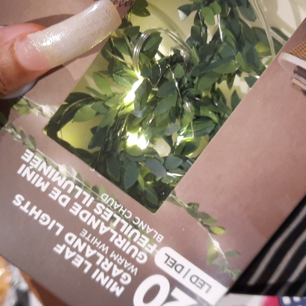 NIB DANSON DECORE STRING LIGHTS Mini leaf LED garland lights